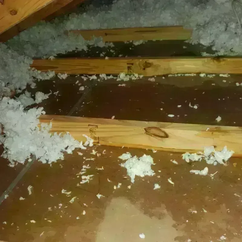 Attic Water Damage in Merrimac, VA