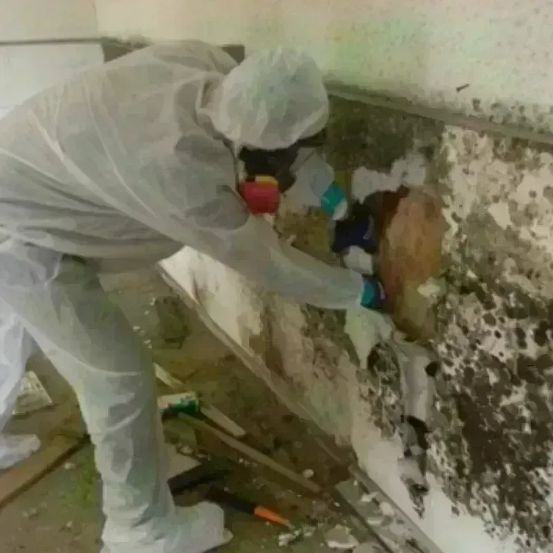 Mold Remediation and Removal in Merrimac, VA